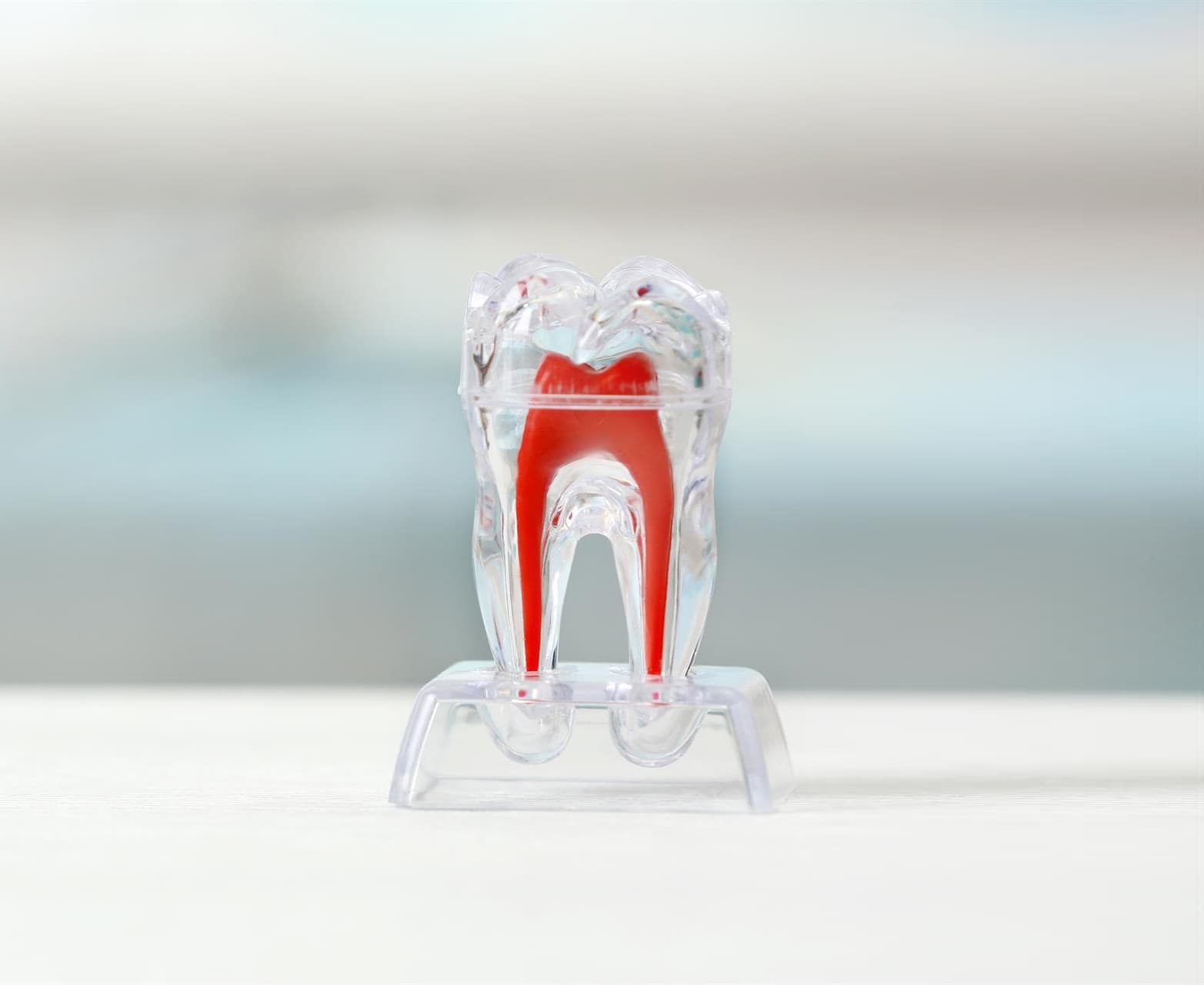 ¿Qué es la endodoncia?